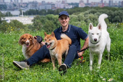 Photography A Caucasian man walks with three dogs. Dog walker.