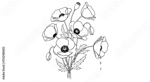 Line art of poppy flowers as a tribute for Remembrance Day, elegant monochrome style