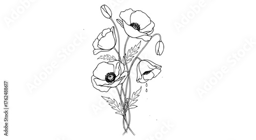 Line art of poppy flowers as a tribute for Remembrance Day, elegant monochrome style