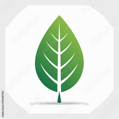 Stylized Green Leaf Icon on White Background Depicting Nature and Botanical Themes