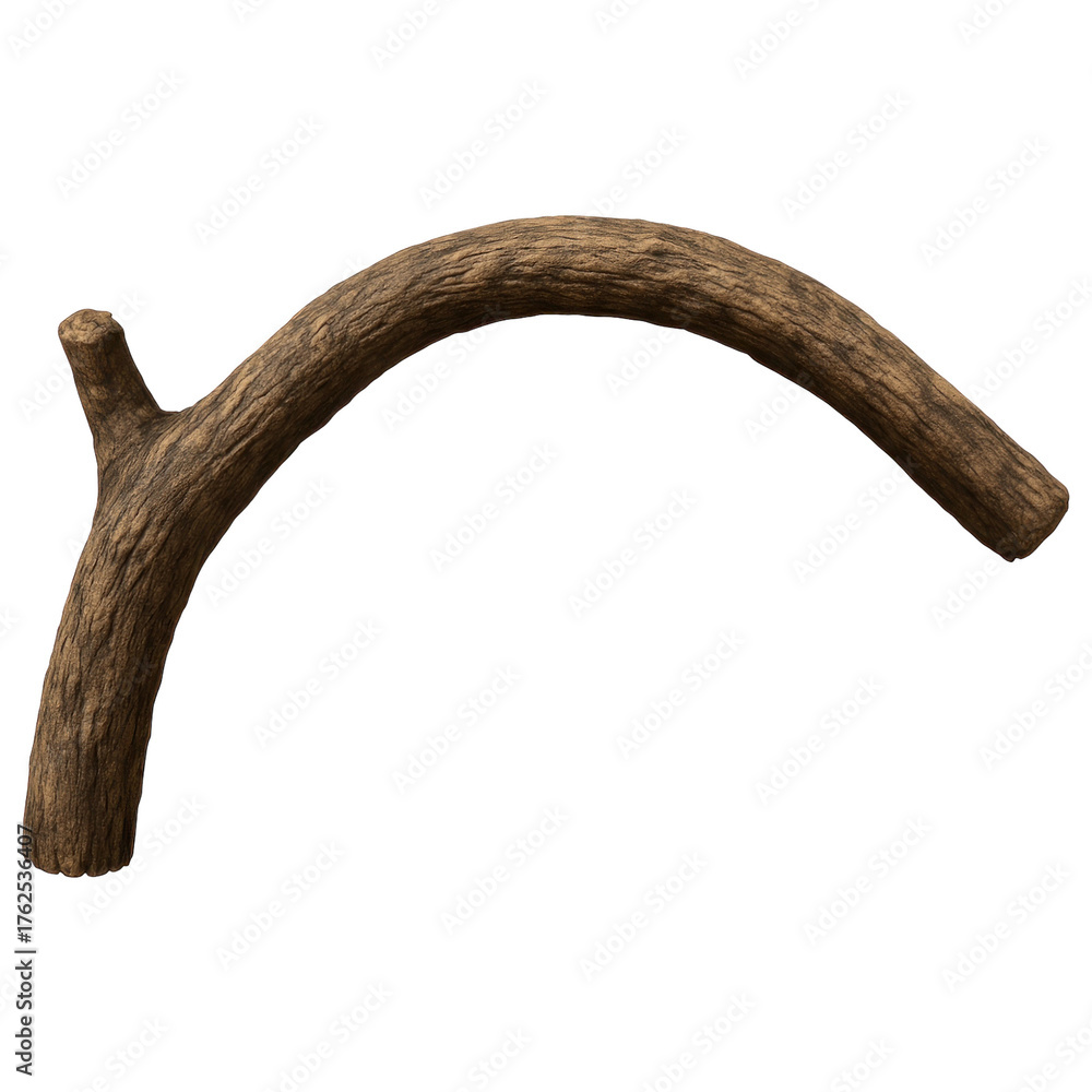 Naklejka premium Curved Wooden Branch