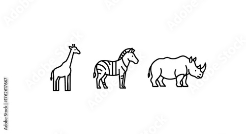 Simple line drawings of a giraffe, zebra, and rhinoceros stand side-by-side on a white background.