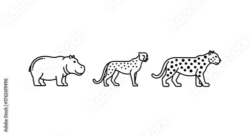 Simple line art illustrates a hippopotamus, cheetah, and leopard walking in a row.