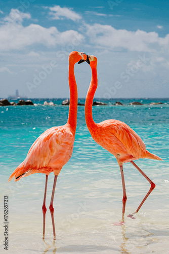 2 Lovebirds flamingos