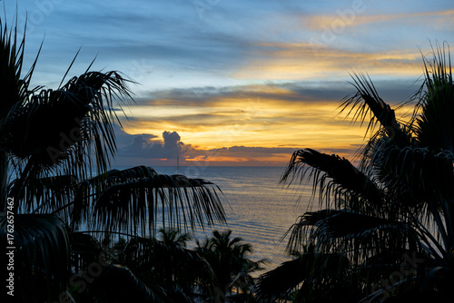 Sunset at beach in paradise with palm trees