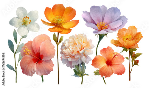 Wallpaper Mural Vibrant Floral Collection Featuring Colorful Blossoms on Transparent Background Torontodigital.ca