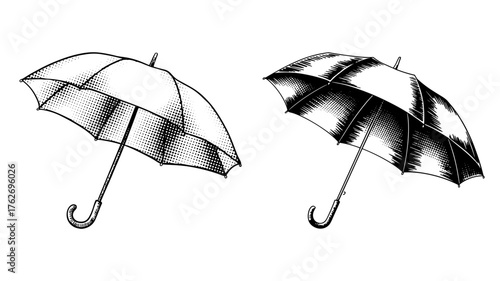 Black and white illustration of two open umbrellas with curved handles, drawn in a vintage sketch with shading and texture details.