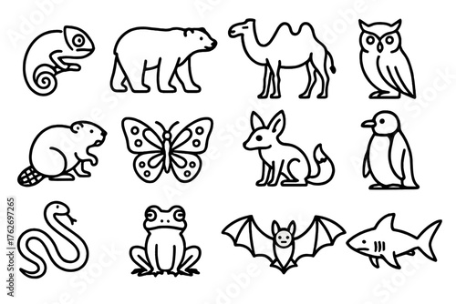 Animal adaptation outline icon set: chameleon, polar bear, camel, owl, beaver, butterfly, desert fox, penguin, snake, frog, bat, shark.