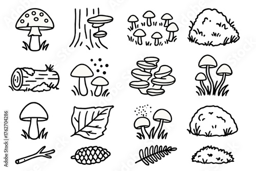 Forest Fungi outline icon set: red toadstool, shelf fungus on tree, fairy ring, moss, fallen log, spores, bracket fungus, coral fungus, woodland mushroom, decaying leaf, spore puff