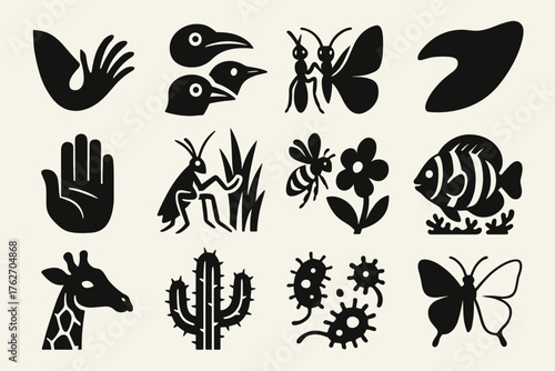 Evolutionary adaptation silhouette set: fin to limb, bird beak shapes, insect mimicry, whale flipper, opposable thumb, insect camouflage, flower pollination, coral reef fish,
