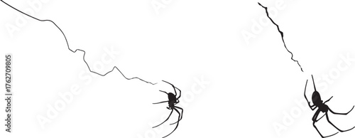 Stylized Black Spiders with Wavy Lines, Minimalist Vector on White
