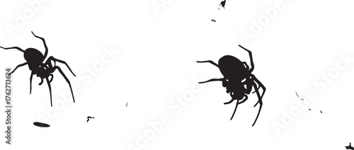 Stylized Black Spider Silhouettes with Organic Specks on White Background