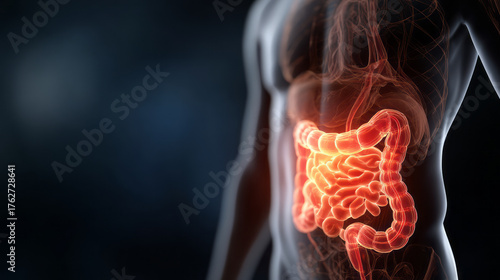 Human anatomy medical illustration of painful digestive system. Close up view of intestine and gut showing inflammation and stomach problems