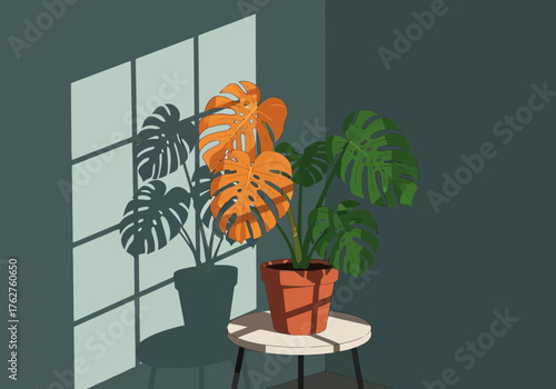Illustration of a monstera plant with large green and orange leaves sits in a terracotta pot on a small stool, casting a shadow on a wall with gridlike window light