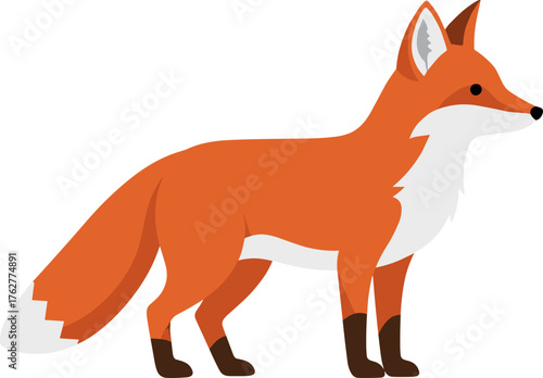 Flat Orange Fox Standing Side View Illustration Graphic Element
