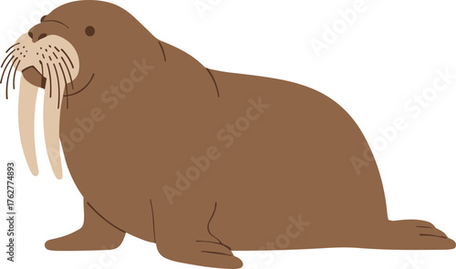 Cute Cartoon Style Detailed Walrus Sea Mammal Creature Illustration