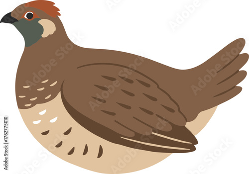 Simple Flat Illustration of California Quail Bird Wildlife Icon
