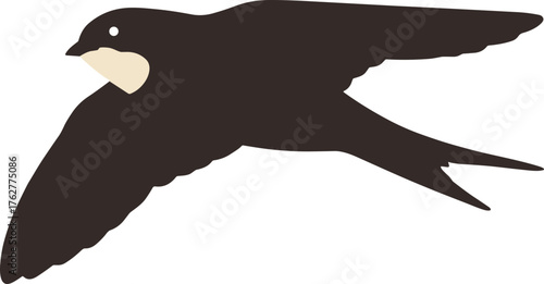 Schilderij op canvas Simple Flat Illustration of Flying Swallow Bird Silhouette Icon