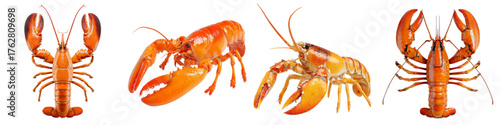 Delicious cooked lobsters enticing seafood lovers, perfect for restaurant menus, culinary blogs, and gourmet food promotions, vibrant colors and appetizing presentation