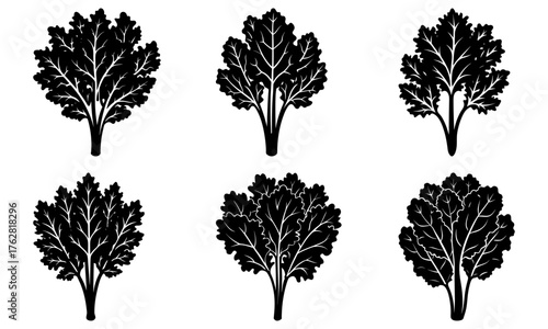 Botanical Vector Set: Six stylized leafy plant illustrations in elegant black and white, perfect for natural designs and organic themes, originally SVG