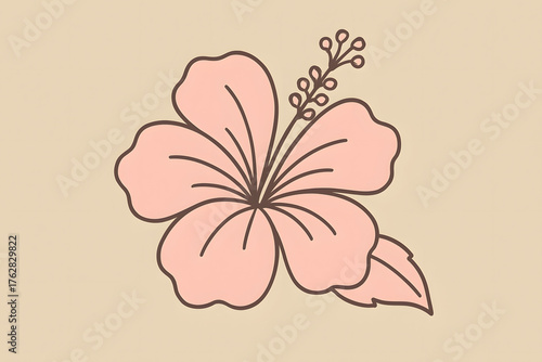 Pink hibiscus flower with outline and leaf