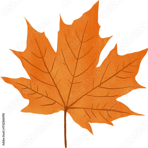 Wallpaper Mural Autumn banner with orange leaves. Colorful autumn set of leaves, mashrooms and acorns. Vector illustration clipart leaves set autumn on white background isolated, vector plie of colorful leaves Torontodigital.ca