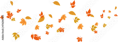 Autumn banner with orange leaves. Colorful autumn set of leaves, mashrooms and acorns. Vector illustration clipart leaves set autumn on white background isolated, vector plie of colorful leaves
