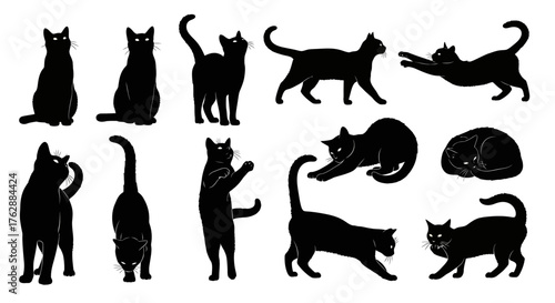 Collection of cat silhouettes, Various cat poses and actions, Black cat outline