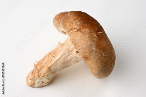 新鮮なしいたけ03