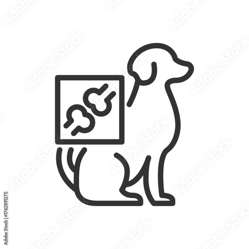 Line art shows a dog beside a square Xray