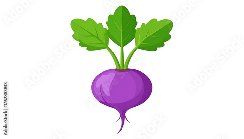 Purple turnip with three leaves