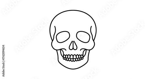Clean line art illustration of a human skull, a minimalist graphic symbolizing mortality, anatomy, and potential danger, perfect for diverse design projects or educational resources