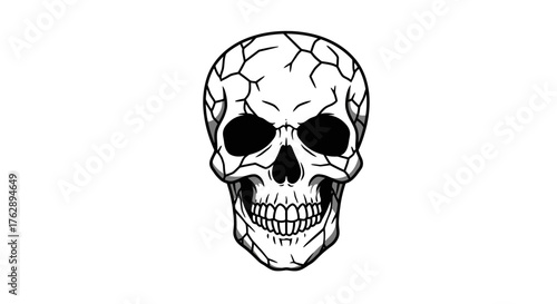 Skull Illustration in Vector Style Detailed Anatomy on a White Background for Design Elements