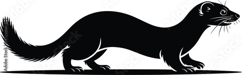 Ermine Silhouette Illustration Animal Predator Art