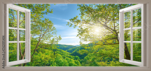 Seeing nature's beauty through an open window, Sunlight streaming through trees reveals summer or spring in the distant forest