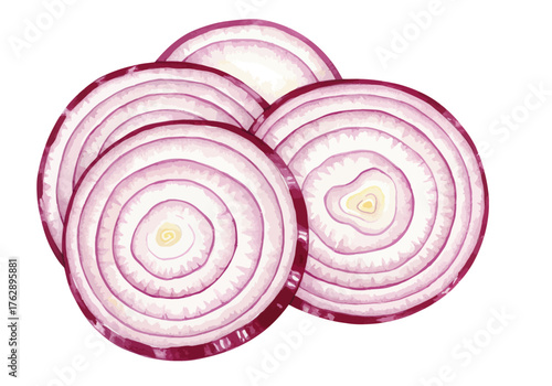 Sliced Red Onion Rings Vector Illustration