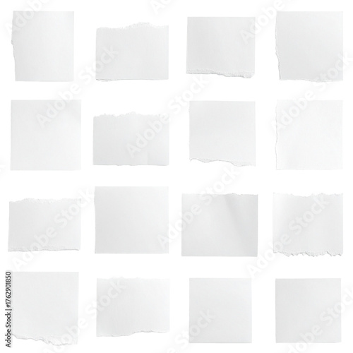 Wallpaper Mural PNG Torn Paper Texture: An arrangement of torn pieces of white paper. Showcasing the delicate edges and subtle textures, ideal for design elements.  Torontodigital.ca