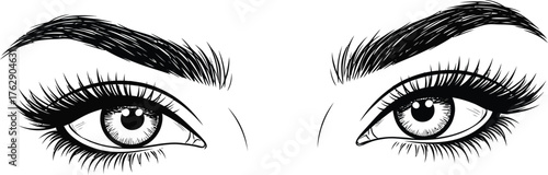 Close up sketch of a woman s expressive eyes with long lashes and bold eyebrows