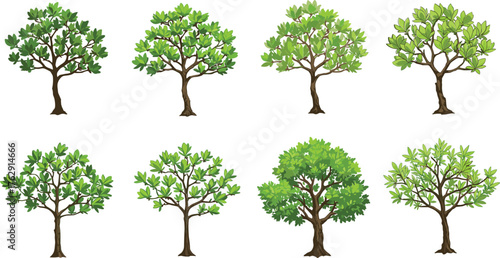 Eight diverse green leaf trees with brown trunks on white background leaves