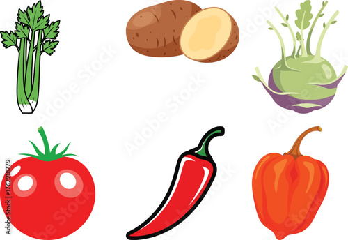 Celery bunch potato kohlrabi tomato chili pepper and pumpkin on white background green stalks