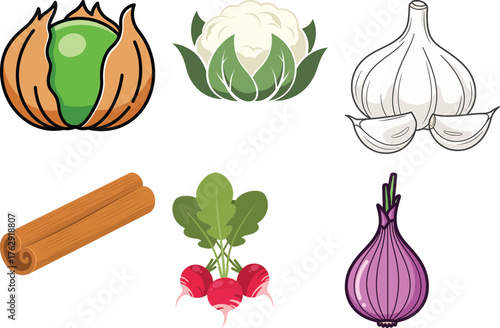 Collection of cartoon style vegetables and spice on white background onion garlic
