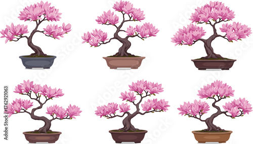 Six pink magnolia bonsai trees in brown and grey pots on white background flower