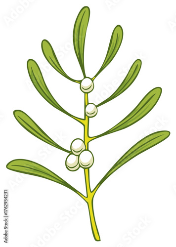 Cartoon mistletoe sprig with green leaves and white berries a Christmas holiday decoration vector