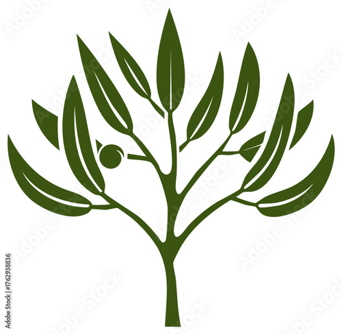 Stylized Olive Tree Illustration Symbol Fresh Green Fruit Harvest Farm Product Mediterranean Agriculture