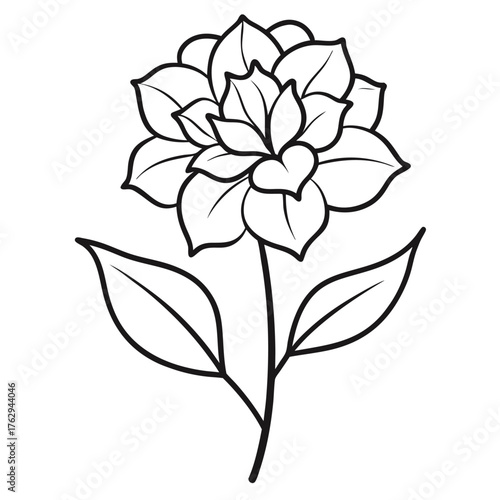 rhododendron flower line art on white background
