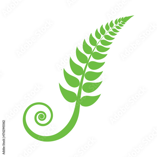 Green fern frond with a spiral unfurling stem leaf