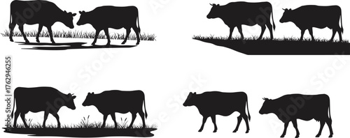 Black cow silhouettes in different poses and movements, farm animal vector illustration set for agriculture, livestock, dairy, rural design