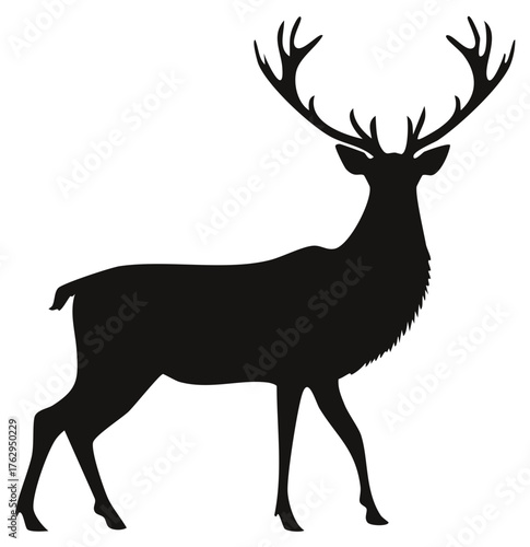 Majestic deer with antlers silhouette, wildlife animal with elegant horns, vector design illustration of horned stag isolated