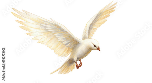 Elegant White Dove Flying With Golden Light Effect And Transparent Background