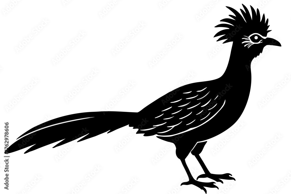 Obraz premium hoatzin silhouette vector illustration